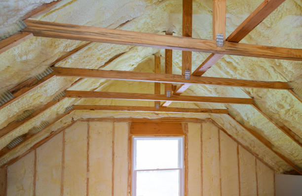 Best Residential Insulation Services  in USA